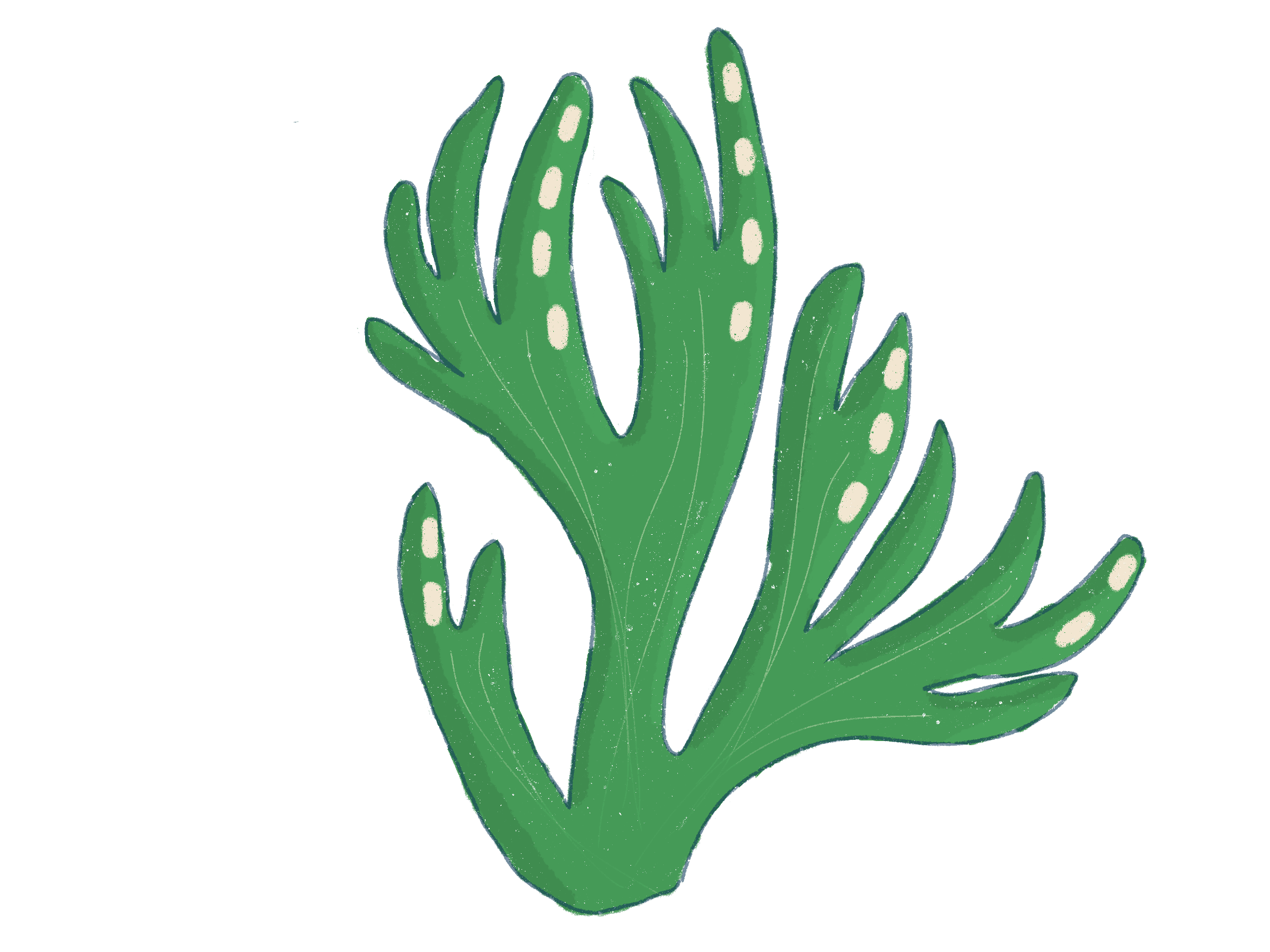 tanaman
